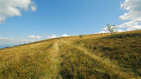 Uphill Path