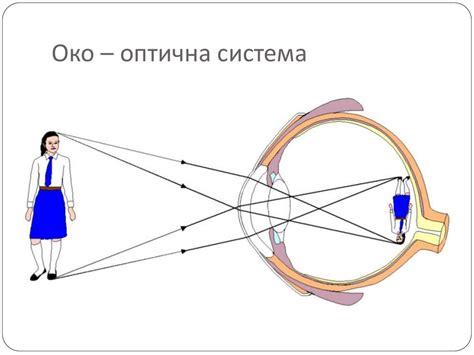 Оптичні прилади, та їх застосування - презентация онлайн