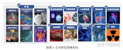 恒瑞医药生物药管线全梳理 知乎