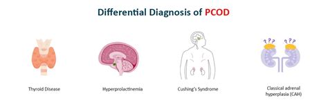 PCOS Blood Tests How Test Findings Aid In Diagnosis Of Your