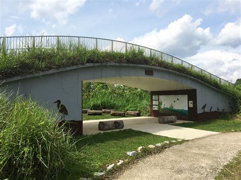 Kranji Marshes Singapore — Stephen Caffyn Landscape Design Landscape