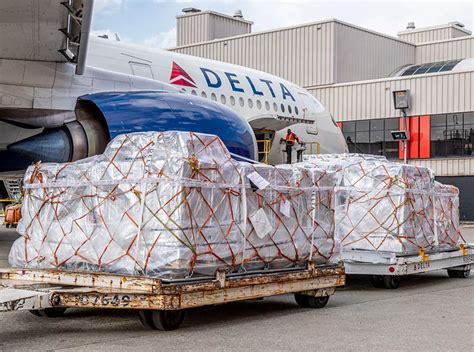 Delta Cargo Moving The World North America Outlook