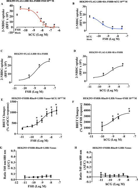 Direct Impact Of Gonadotropins On Glucose Uptake And Storage In