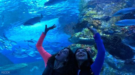 Antalya Aquarium Ticket Klook New Zealand