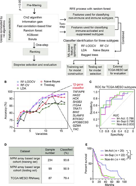 Development And Validation Of Robust Classifiers For Distinguishing