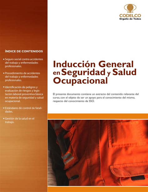 Pdf Ndice De Contenidos Inducci N General Enseguridad Y Salud