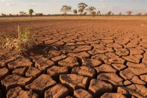 Waspada Puncak El Nino Ini Daftar Wilayah Yang Terdampak Di Sumatera