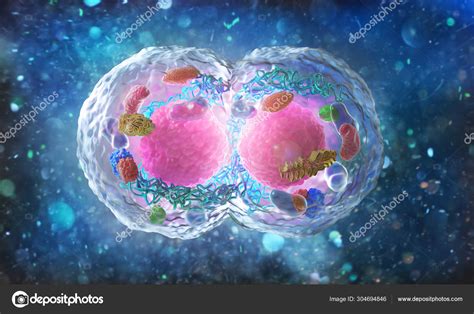 Biology Concept Cell Division Under The Microscope 3d Illustration