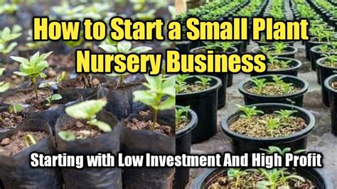 How To Start A Plant Nursery Business In Small Scale Youtube