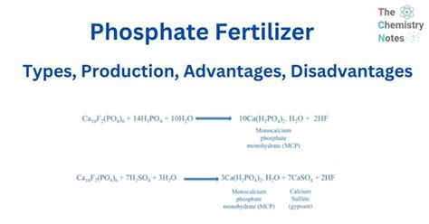 Phosphate Fertilizers: Types, Production, Advantages