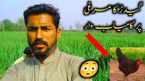 Nuksan Ho Geya Aj To Mr Junaid Vlogs YouTube