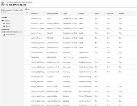 Getting Started With Field Level Security In Dynamics 365 Reenhanced