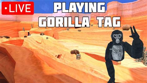 Playing Gorilla Tag - YouTube