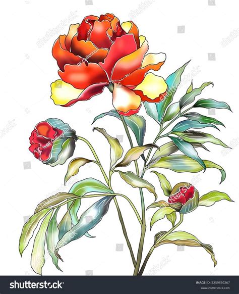 A Drawing Of A Red And Yellow Flower With Green Leaves On A White