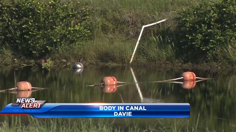 Man’s Body Found Floating In Davie Canal Wsvn 7news Miami News Weather Sports Fort