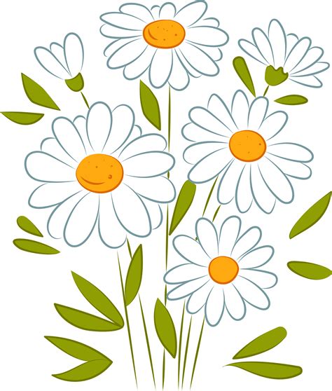 Free: White Daisy Clipart – 101 Clip Art - nohat.cc - Clip Art Library