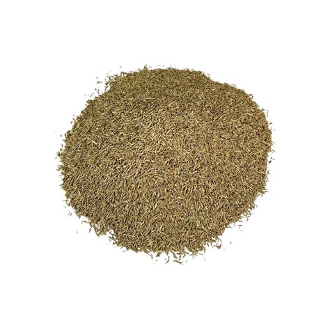 Grass Mixture 6 Karışımlı Çim Tohumu 10 Kg Fiyatları ve Modelleri