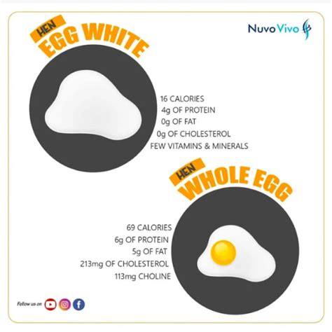 Egg White Vs Whole Egg NuvoVivo Reverse Your Age Lifestyle Diseases