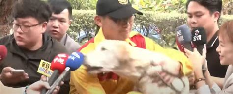 台灣花蓮地震｜搜救犬roger找到第3具遺體立功 受訪咬咪萌爆圈粉 原來曾是失敗緝毒犬？有片 Am730