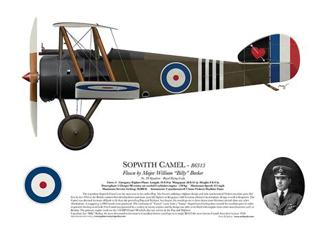 Sopwith Camel B6313 June 1918 Side Profile View Digital Art By Ed