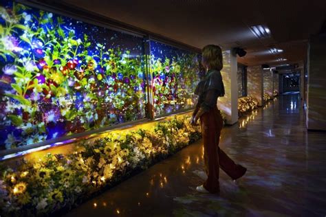 Naked Garden Saga Events In Saga Japan Travel