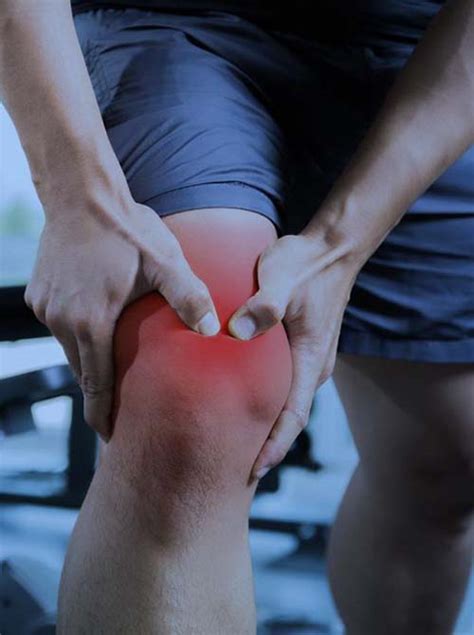 Orthopaedic Innovation - Knee cartilage injuries