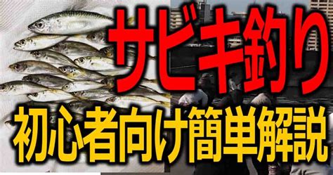 初心者向けサビキ釣りの仕掛けや釣り方！簡単釣り竿や仕掛け 釣りとキャンプのマガジンblues