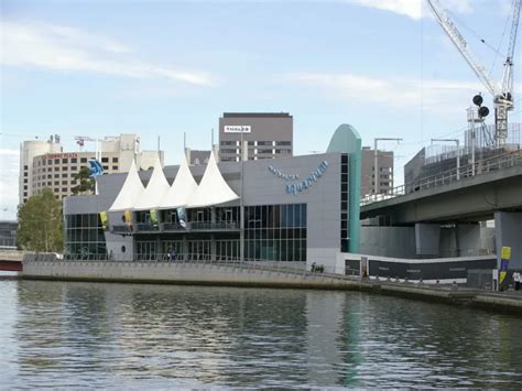 Sea Life Melbourne Aquarium (Melbourne) - Visitor Information & Reviews