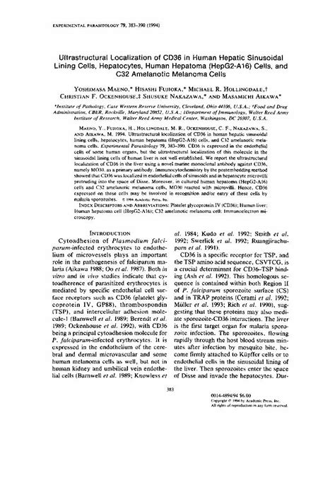 Pdf Ultrastructural Localization Of Cd In Human Hepatic Sinusoidal