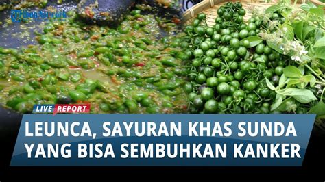 Bukan Cuma Sekedar Lalapan Makanan Khas Sunda Leunca Ternyata Bisa