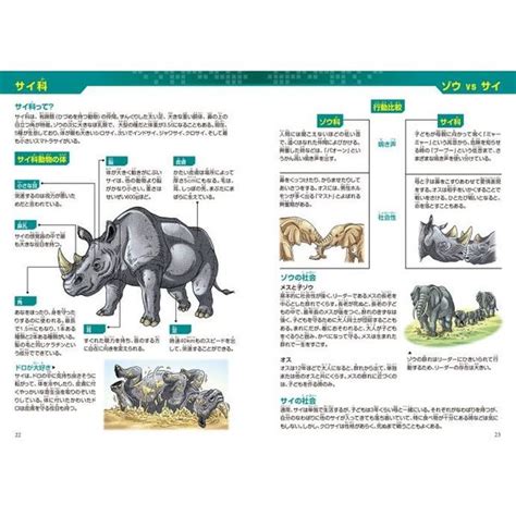 どっちが強い！？ゾウvs（たい）サイ どすこい重量バトル 通販｜セブンネットショッピング