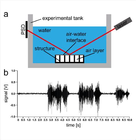 A Setup Used For The Proof Of Concept For The Biomimetic Notonecta