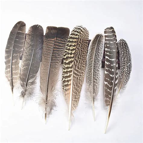 New Various Top Quality Real Natural Eagle feathers 10pcs 15 40CM Eagle ...