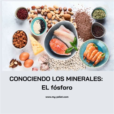 Conociendo los minerales EL fósforo My PDiet Nutrición