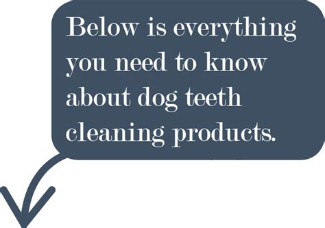 Best Dog Teeth Cleaning Products Reviews – The Hunting Dog