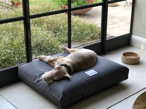 Orthopedic Dog Beds - Handmade in the UK by Berkeley