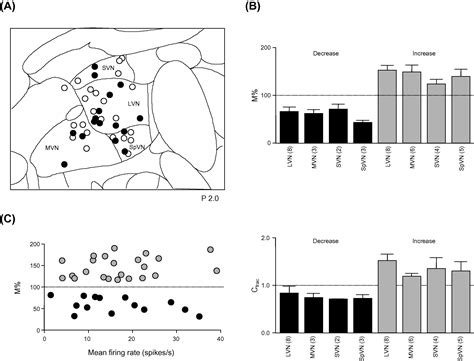 Noradrenergic Modulation Of Neuronal Responses To N Methyl D Aspartate