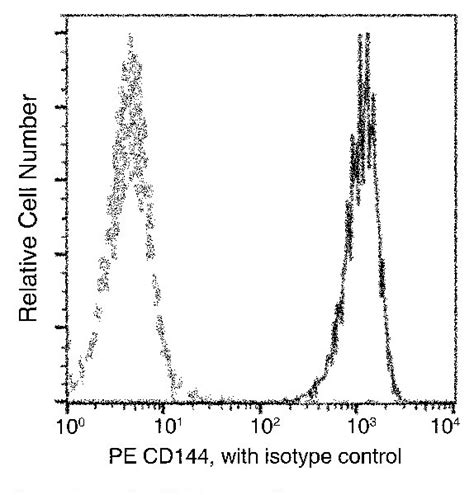 VE-cadherin Recombinant Monoclonal Antibody (048), PE (MA5-46678)