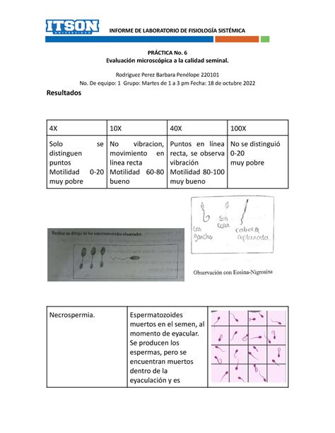 Hoja Membretada Para Informe Lab Fisiolog A Docx Pr Ctica No