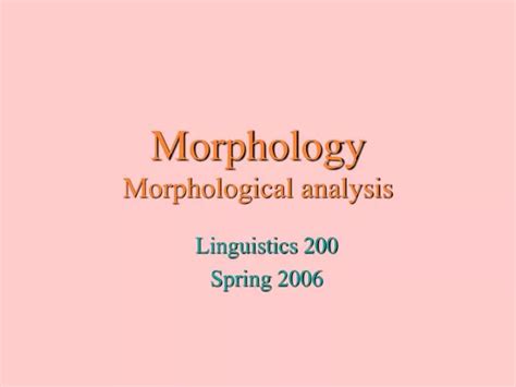 Ppt Morphology Morphological Analysis Powerpoint Presentation Free Download Id6649763