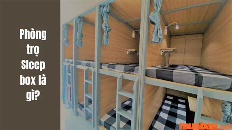 phong tro sleep box la gi nhung uu diem noi bat nhat cua phong tro