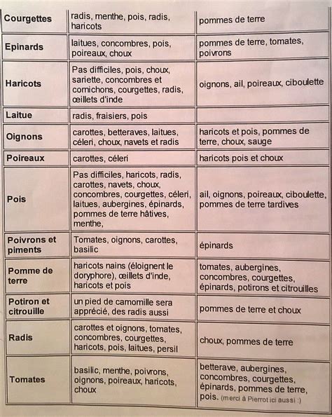 Vacunaci N Entender Mal Principal Plantes Compagnes Au Potager Bio Sin