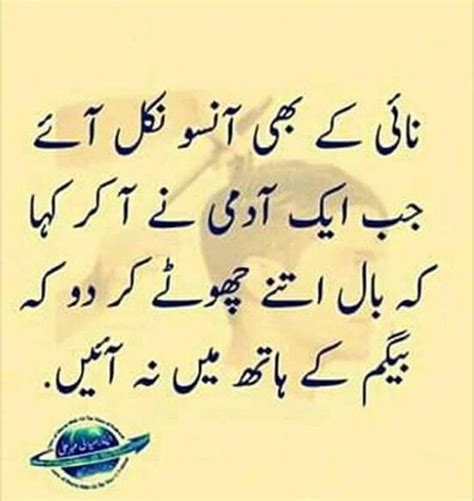 Pin By Abdul Aleem Butt On Jokes Fun Quotes Funny Funny Quotes