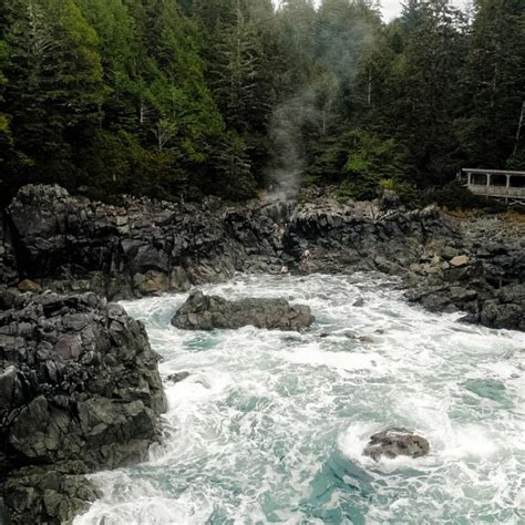 Tofino Hot Springs Cove Tour On Vancouver Island Ahous Adventures