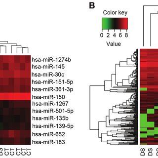 Bidirectional Hierarchical Clustering And Heat Map Of Differentially