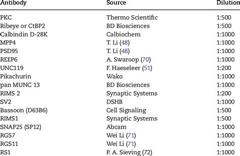 Primary Antibodies Used In This Study Download Table