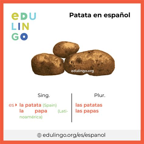 O Que Significa Pacata - Significado Y Uso Correcto De Pacata – ZSANC