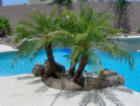 Small Garden Palm Trees