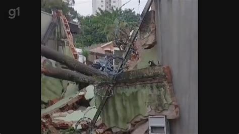 Vídeo Árvore cai e atinge muro de casa Jardim Nova Santa Paula em São