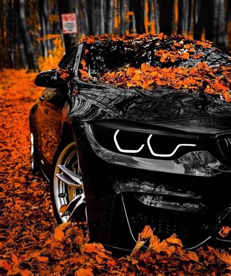 Autumn Bmw K Wallpaper